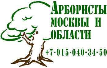 Удаление деревьев в Москве и области. Удаление деревьев в Москве.